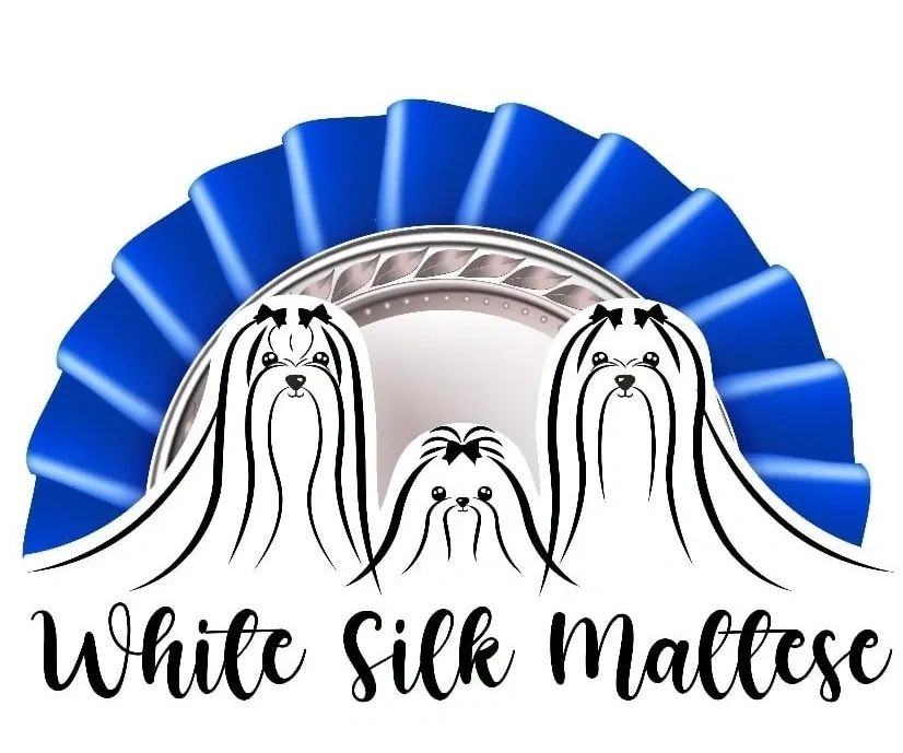 White Silk Maltese logo with three Maltese dogs and a blue ribbon